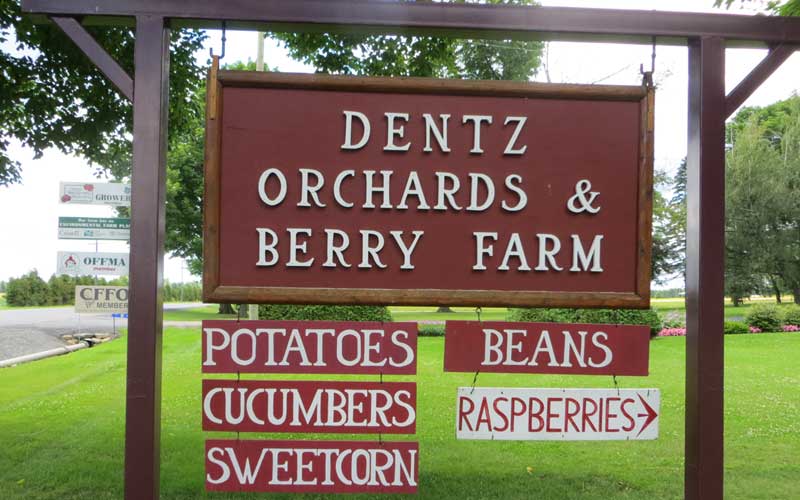 Dentz Orchards and Berry farm