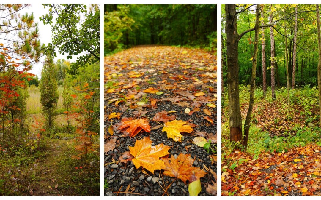 Escape, Unwind and Feel the #AutumnVibes in Eastern Ontario
