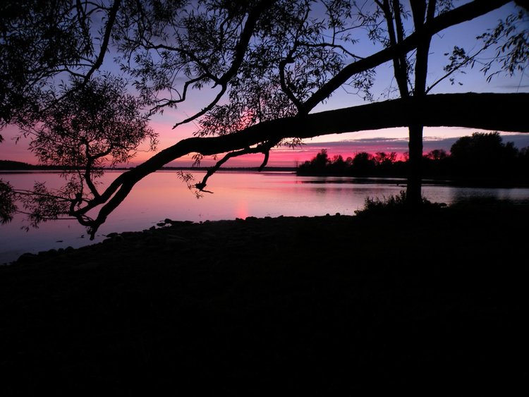 Farran Park Campground