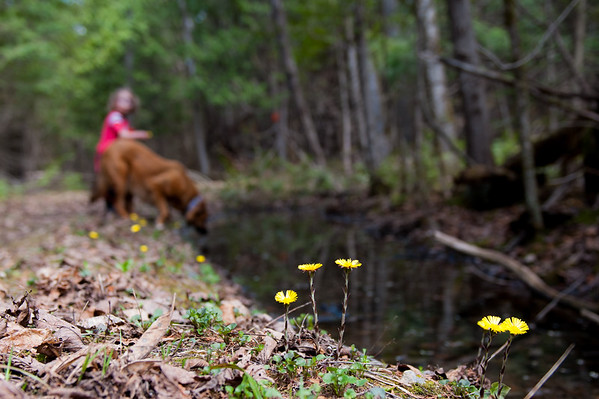 Grey's Creek Conservation