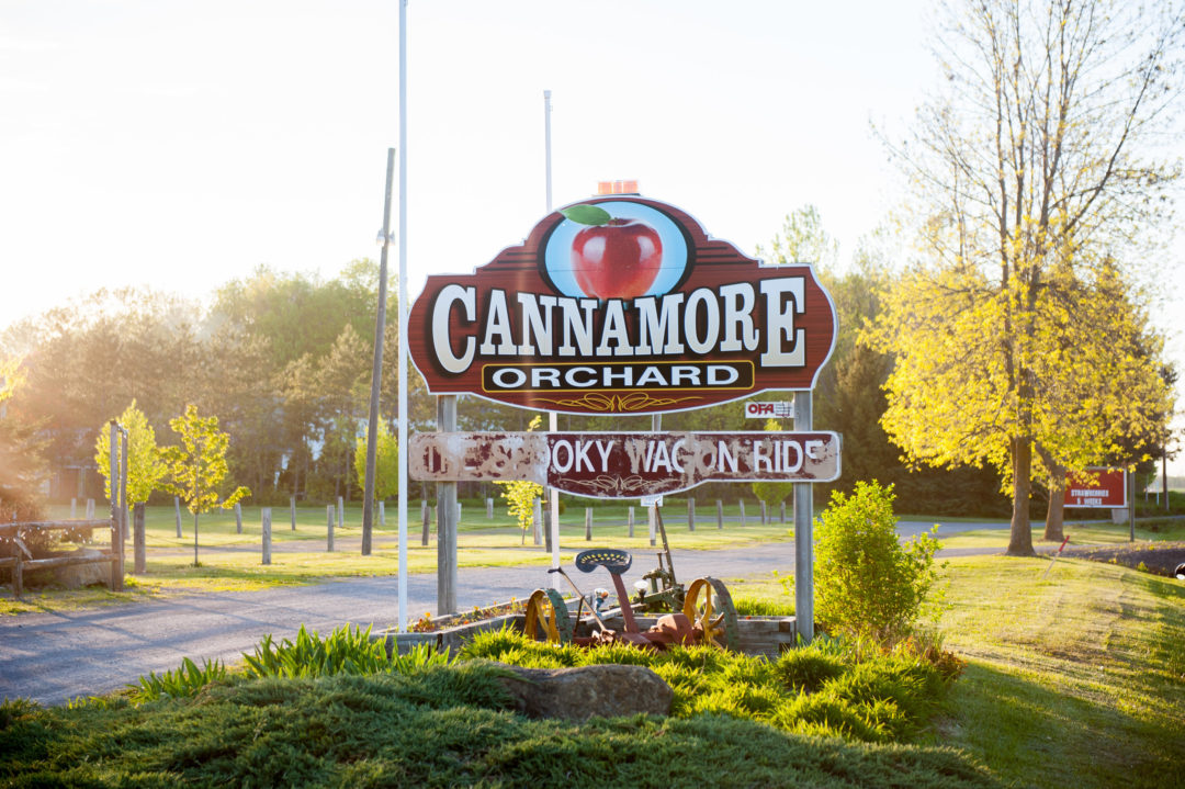 Cannamore Orchard