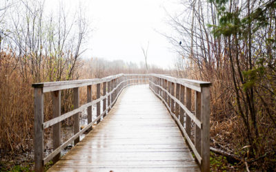 Cooper Marsh Conservation Area