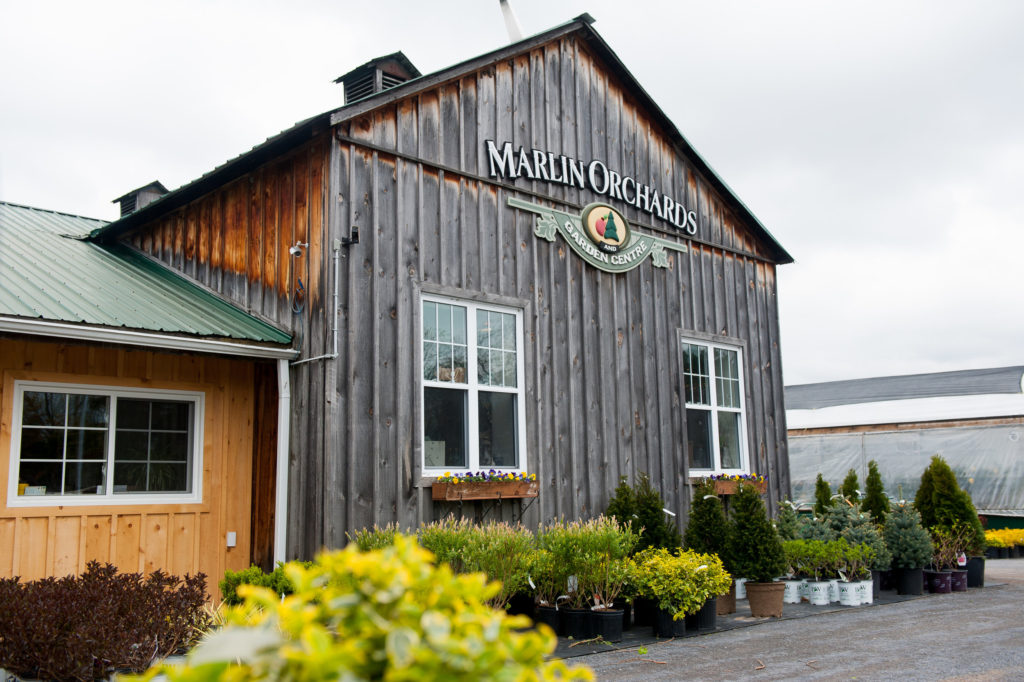 Marlin Orchards