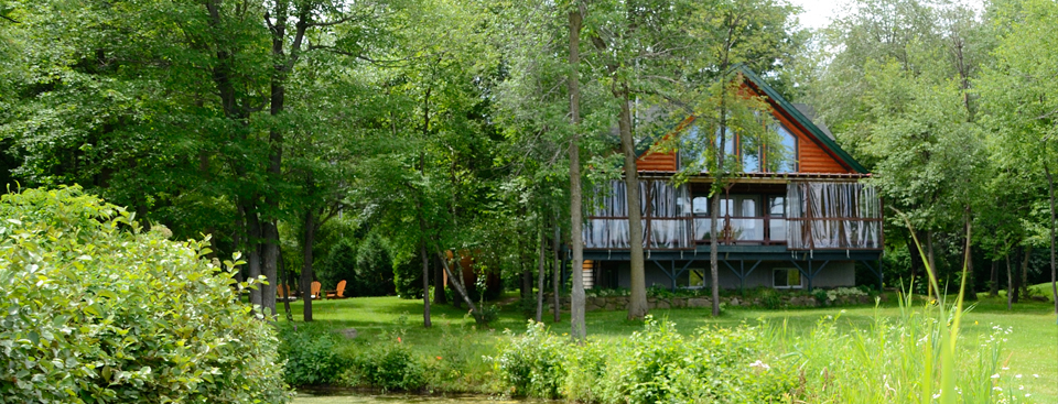 Ponderosa Resort