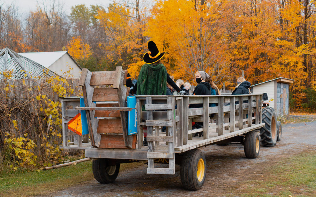 Acres of Terror 2021: Cannamore Orchards