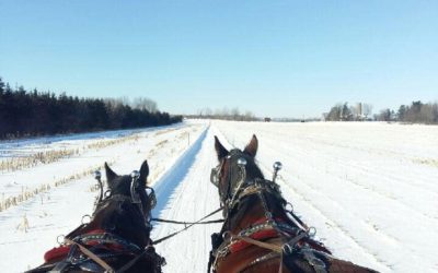 Embrace winter and go on a magical sleigh ride for two this Valentine’s Day