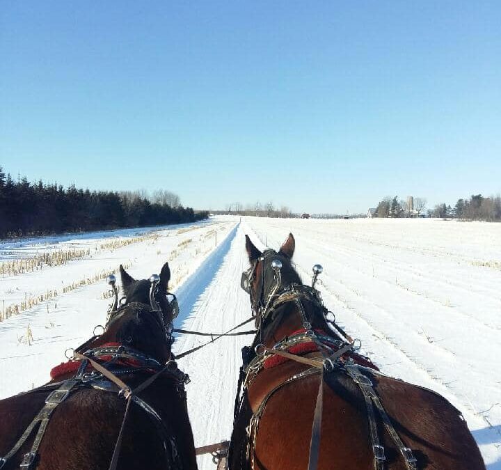 Embrace winter and go on a magical sleigh ride for two this Valentine’s Day