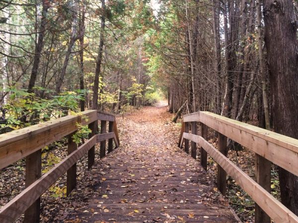 Warwick Forest