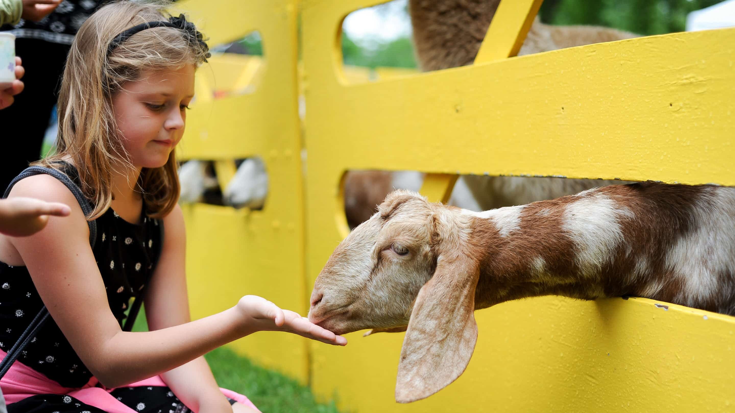 Maxville Fair