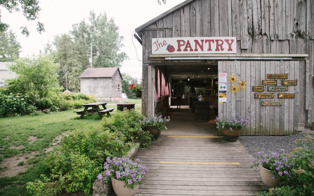 BERRY GOOD JOB: Avonmore farm feted by The Food Network