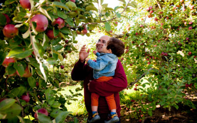 The ultimate guide to picking apples in SDG County!