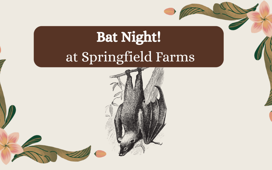 Bat Night