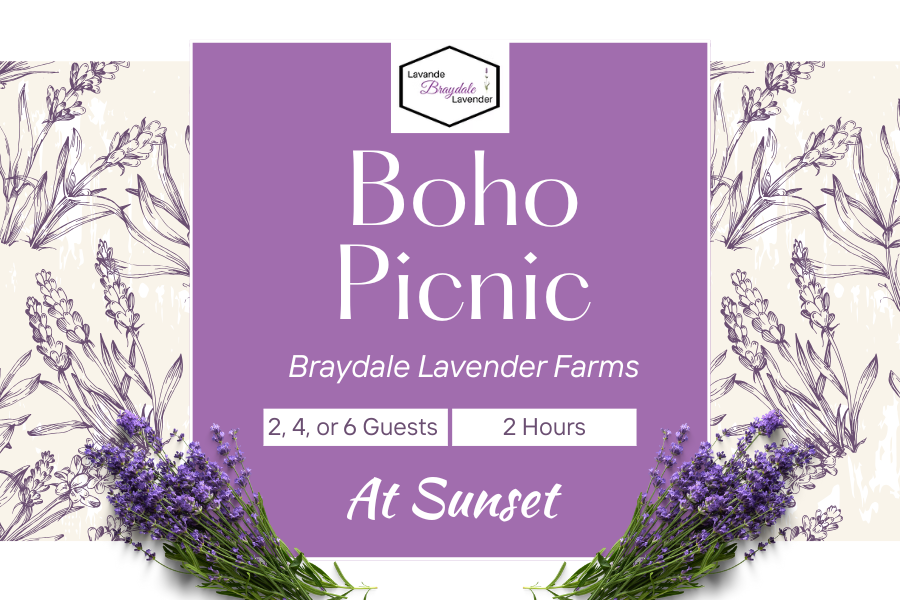 Boho Picnic
