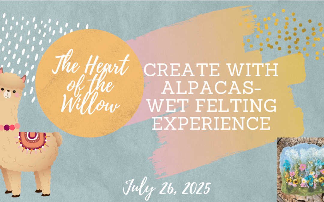 Wet Felting Experience With Alpacas