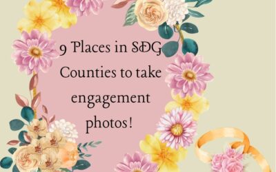 Nine Places to Take Engagement Photos in SDG Counties!