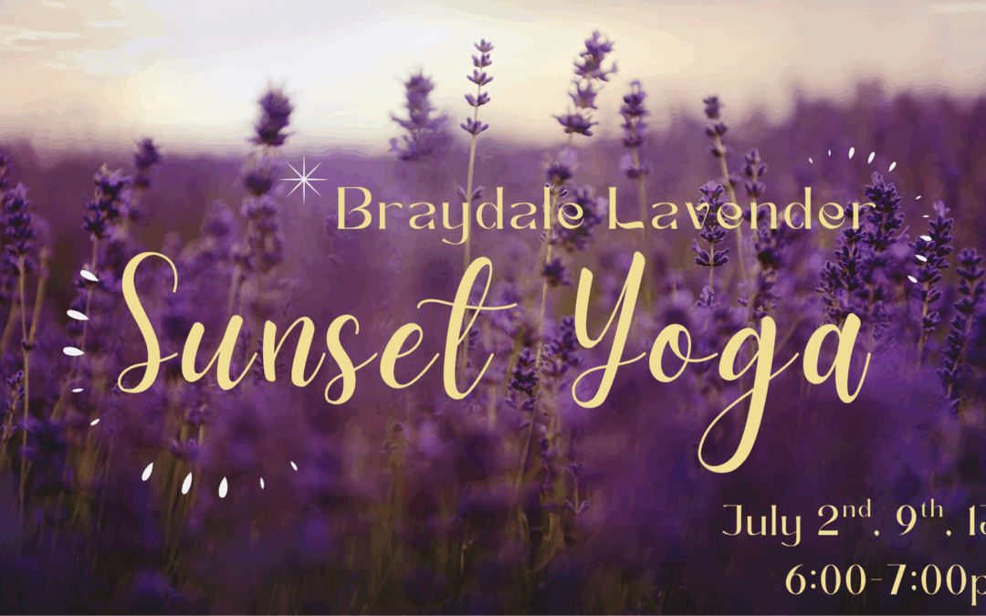 Lavender Field Sunset Yoga
