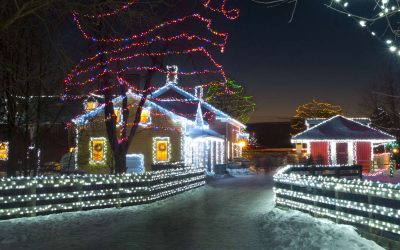 A Quarter Century of Magic: Alight at Night Turns 25