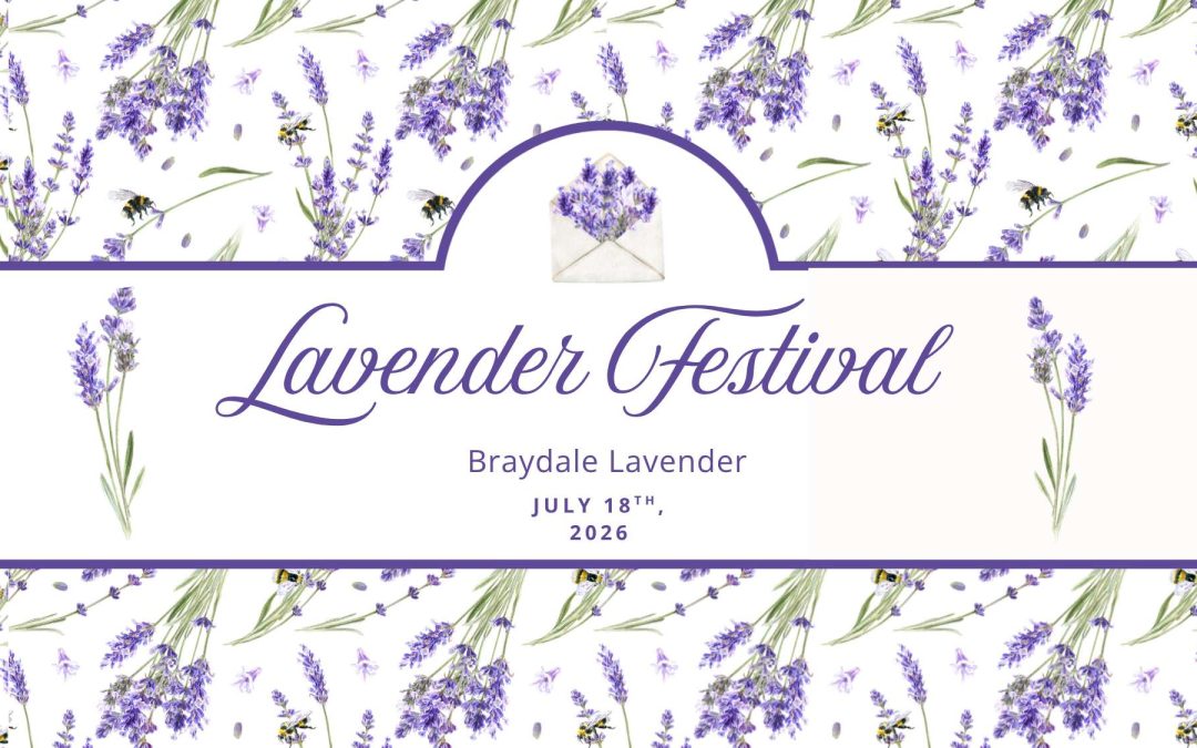 Lavender Festival- Braydale Lavender