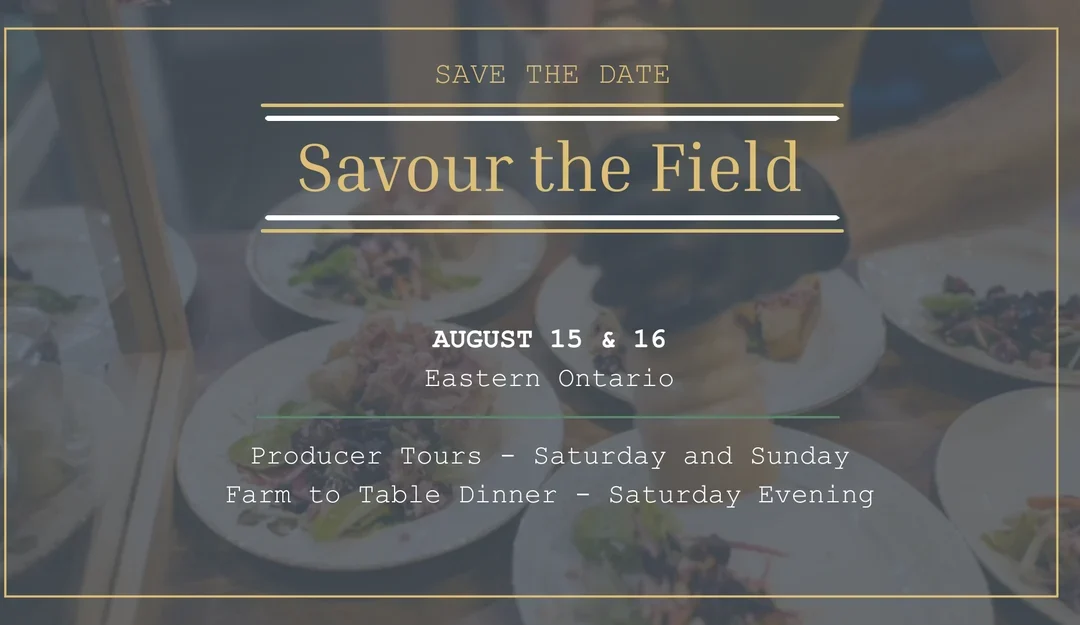 Savour the Field