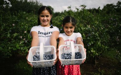 South Eastern Ontario Launches “Farm to Flavours” Campaign