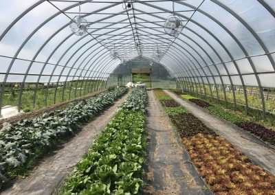 Dream Small Farm