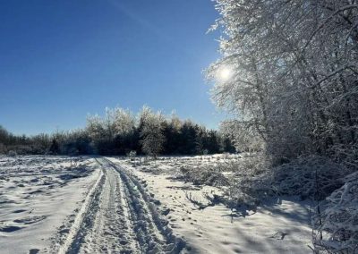 McIntosh Lane Recreation Trail