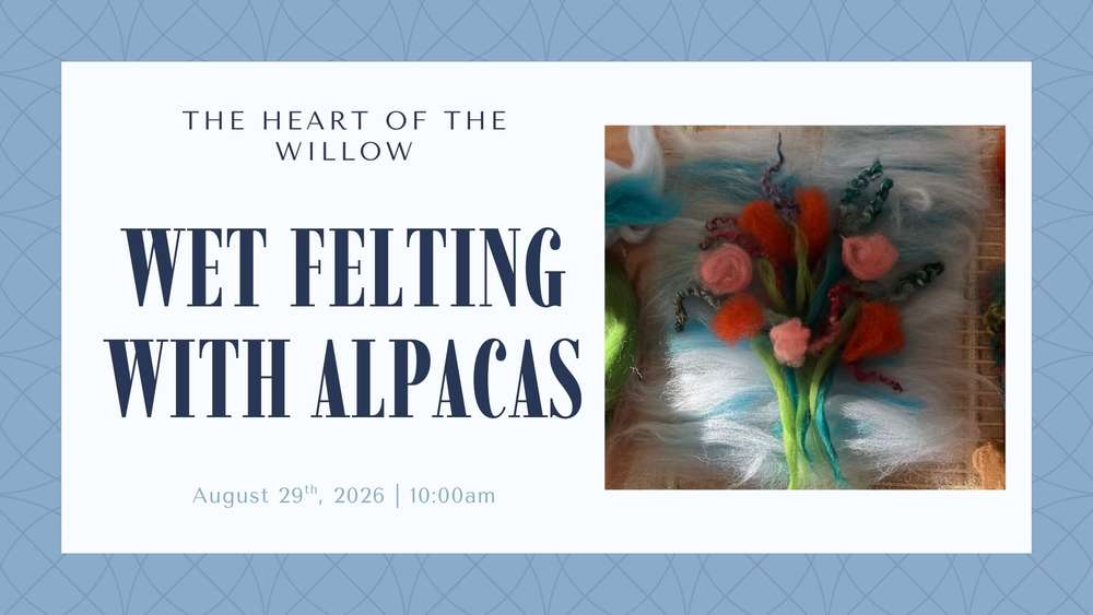 Wet Felting With Alpacas